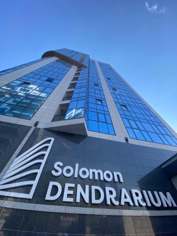 Business Lux Solomon